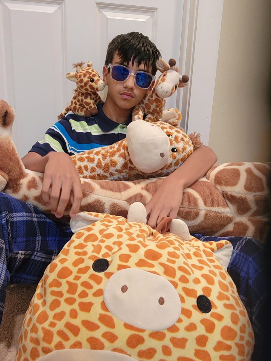 Andrew Payne collects interests and hobbies like he collects stuffed giraffes for his bedroom. 