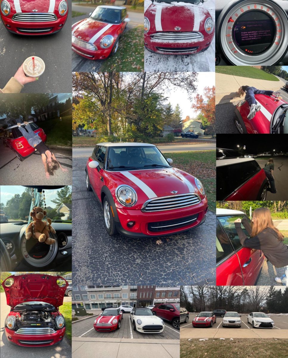 Thank you, Sparky, for over a year of being mine.