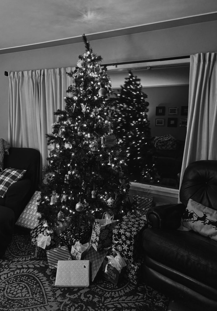 Our tree last year was what I really looked forward to the most on Christmas morning. 