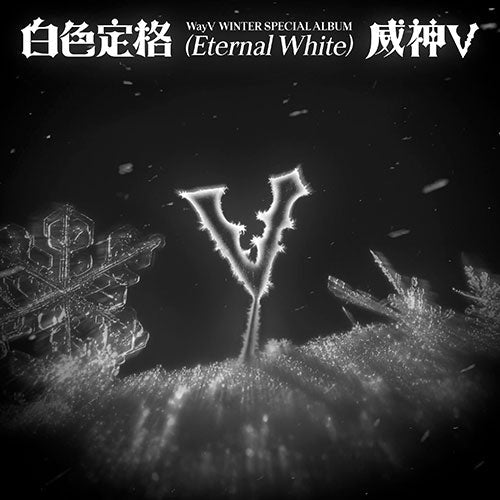 Winter can be a lonely season for many, and "Winter Special Album [白色定格 (Eternal White)]" holds space for this.