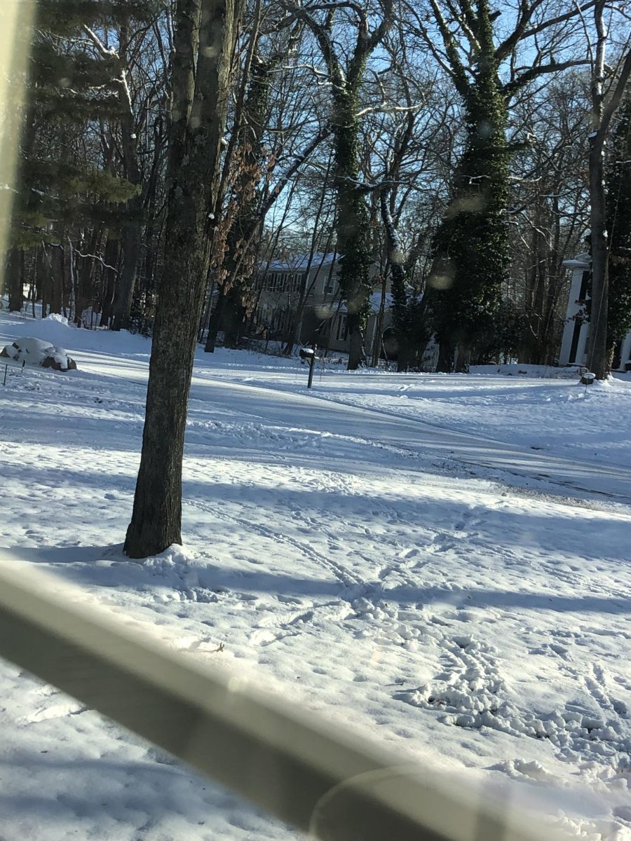 In the sunlight the snow sparkles all the brighter.
